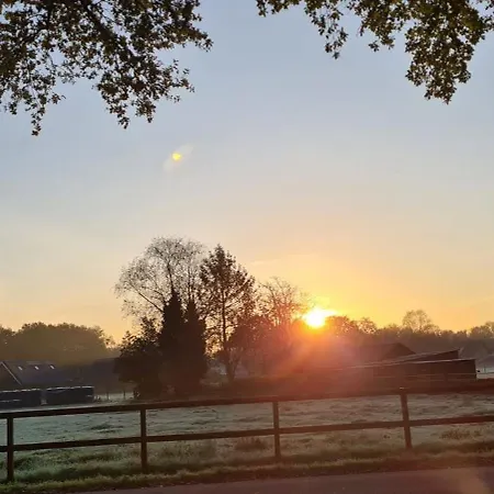 De Vos - Luxe Op De Veluwe Met Vrij Uitzicht & Omheinde Tuin Alpehytte *
